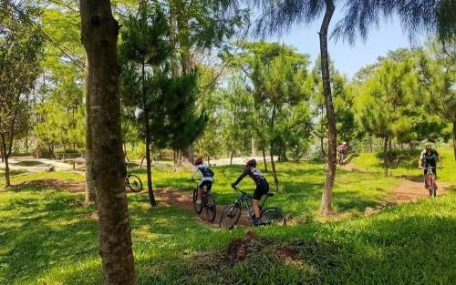 Bumi Hejo & Town Center